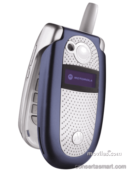 Motorola V560