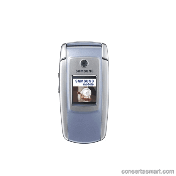 Samsung SGH-M300