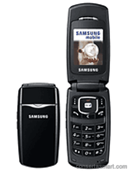 Imagem Samsung SGH-X210