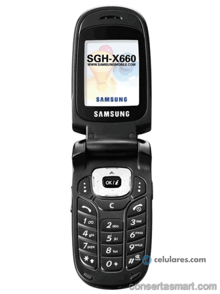 Samsung SGH-X660