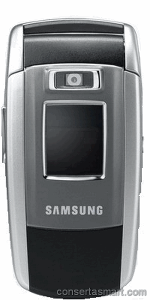 Samsung SGH-Z500