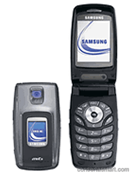 Imagem Samsung SGH-Z600