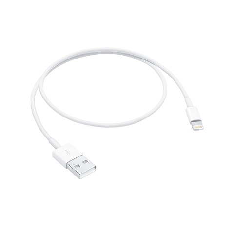 caboApple Ipad Mini 5