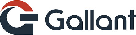 Assistência técnica Gallant 