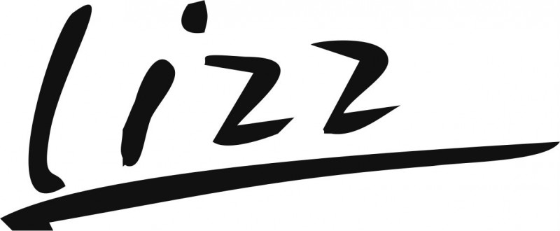 Assistência técnica Lizz 