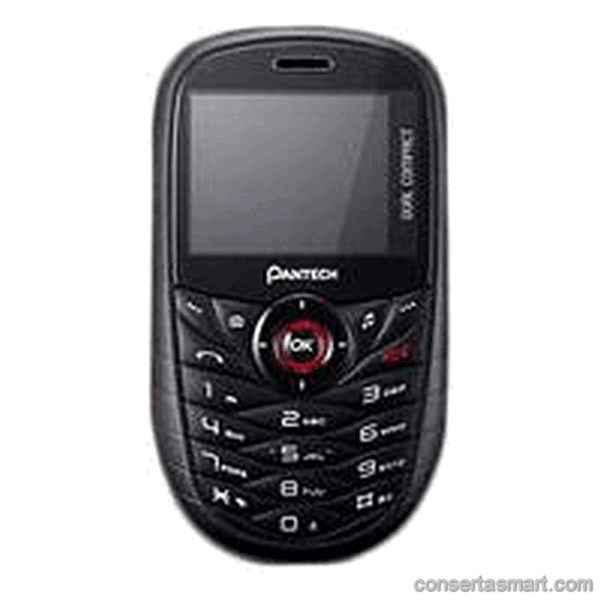 Pantech P1000
