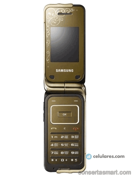 Conserto de Samsung SGH-L310