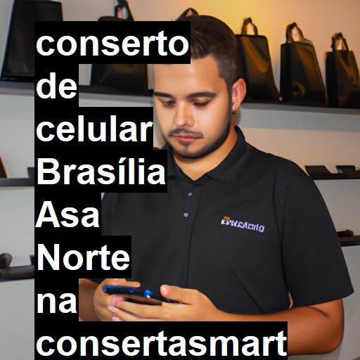 Conserto de Celular em Brasília Asa Norte - R$ 99,00