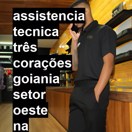 Assistência Técnica três-corações  em goiania setor oeste |  R$ 99,00 (a partir)