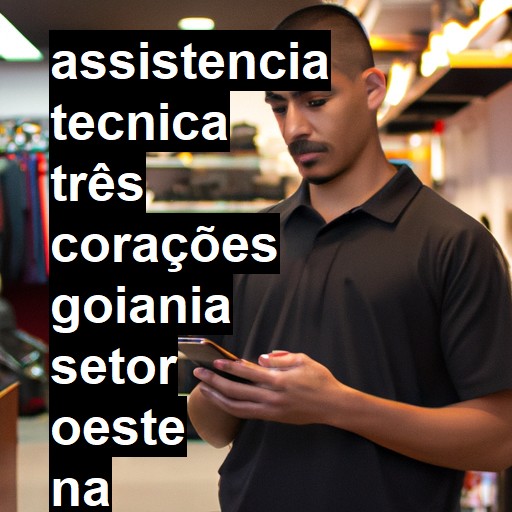 Assistência Técnica três-corações  em goiania setor oeste |  R$ 99,00 (a partir)