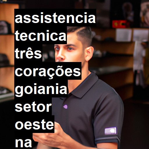 Assistência Técnica três-corações  em goiania setor oeste |  R$ 99,00 (a partir)