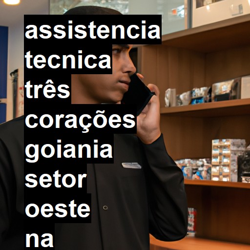 Assistência Técnica três-corações  em goiania setor oeste |  R$ 99,00 (a partir)