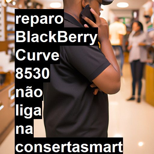 BLACKBERRY CURVE 8530 NÃO LIGA | ConsertaSmart