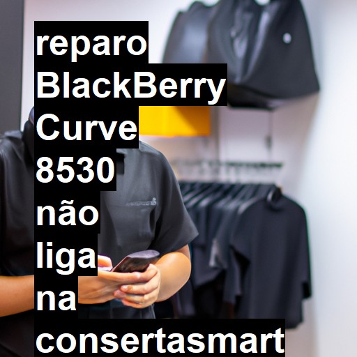 BLACKBERRY CURVE 8530 NÃO LIGA | ConsertaSmart