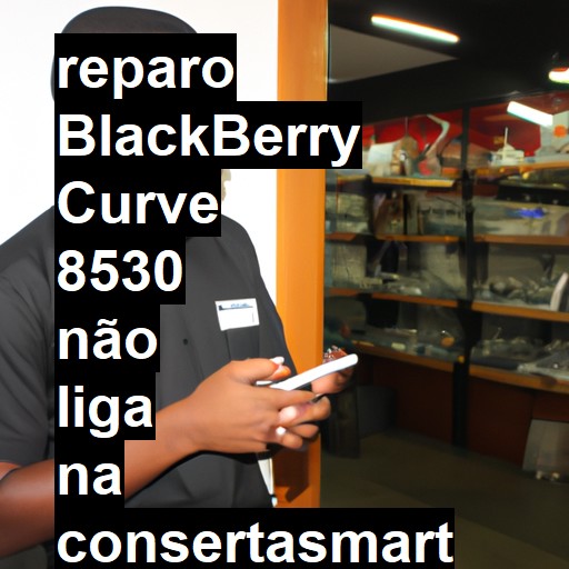 BLACKBERRY CURVE 8530 NÃO LIGA | ConsertaSmart