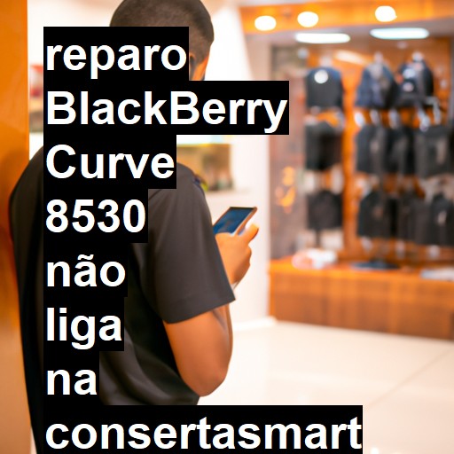 BLACKBERRY CURVE 8530 NÃO LIGA | ConsertaSmart