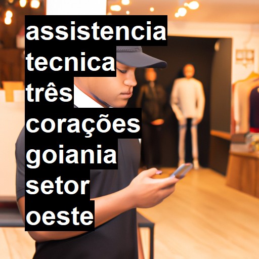 Assistência Técnica três-corações  em goiania setor oeste |  R$ 99,00 (a partir)