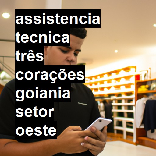 Assistência Técnica três-corações  em goiania setor oeste |  R$ 99,00 (a partir)