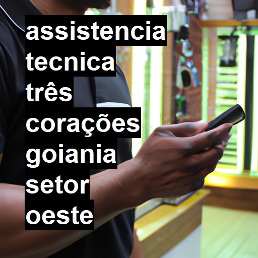 Assistência Técnica três-corações  em goiania setor oeste |  R$ 99,00 (a partir)