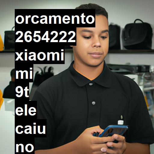 XIAOMI MI 9T ELE CAIU NO CHÃO E LIGA MAIS A TELA FICA TODA PRETA NÃO DÁ DE VER NADA NEM MEXER  | ConsertaSmart GASPAR CENTRO