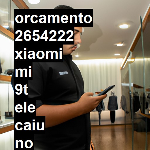 XIAOMI MI 9T ELE CAIU NO CHÃO E LIGA MAIS A TELA FICA TODA PRETA NÃO DÁ DE VER NADA NEM MEXER  | ConsertaSmart GASPAR CENTRO