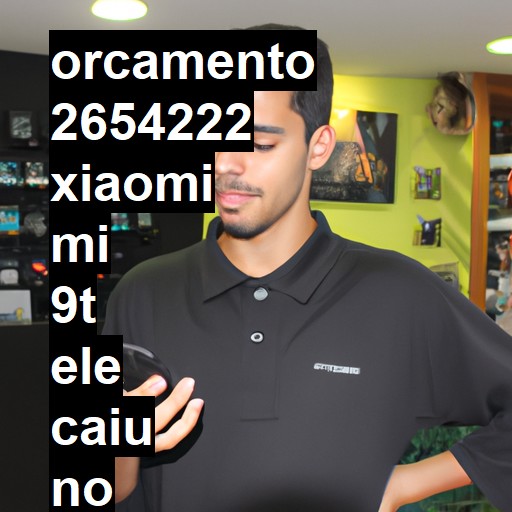 XIAOMI MI 9T ELE CAIU NO CHÃO E LIGA MAIS A TELA FICA TODA PRETA NÃO DÁ DE VER NADA NEM MEXER  | ConsertaSmart GASPAR CENTRO