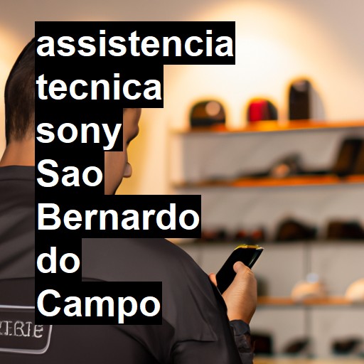 Assistência Técnica Sony  em São Bernardo do Campo |  R$ 99,00 (a partir)