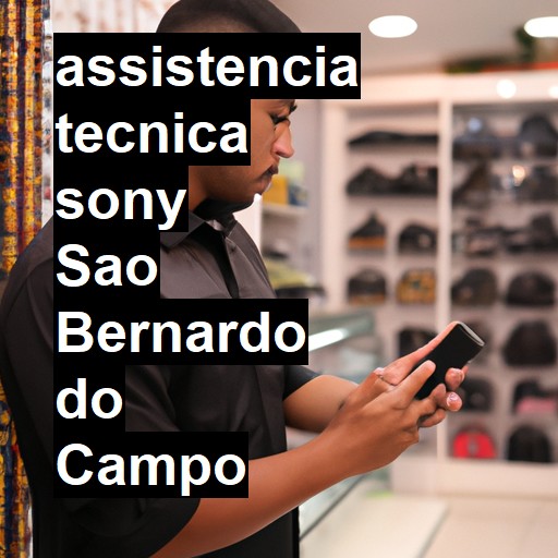 Assistência Técnica Sony  em São Bernardo do Campo |  R$ 99,00 (a partir)