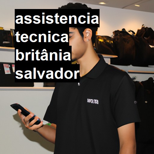 Assistência Técnica britânia  em Salvador |  R$ 99,00 (a partir)