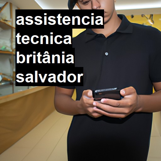 Assistência Técnica britânia  em Salvador |  R$ 99,00 (a partir)