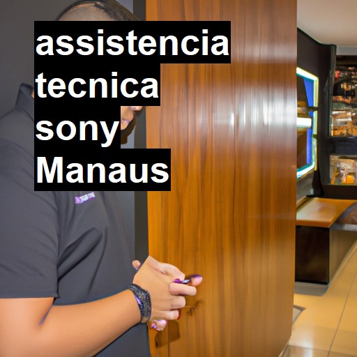 Assistência Técnica Sony  em Manaus |  R$ 99,00 (a partir)