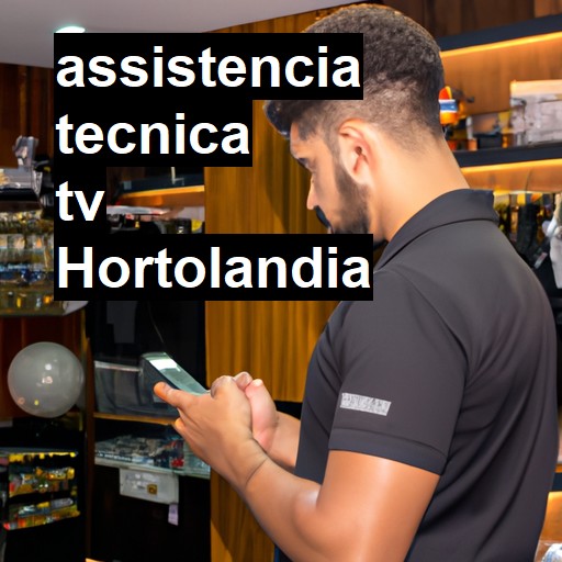 Assistência Técnica tv  em Hortolândia |  R$ 99,00 (a partir)