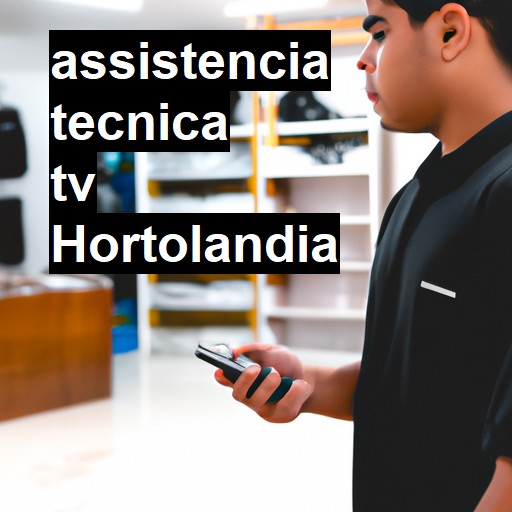 Assistência Técnica tv  em Hortolândia |  R$ 99,00 (a partir)