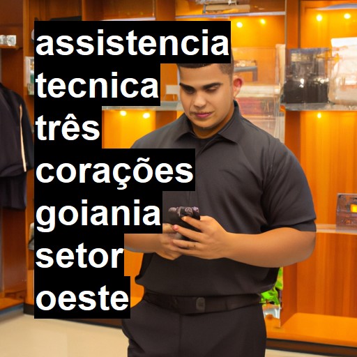 Assistência Técnica três-corações  em goiania setor oeste |  R$ 99,00 (a partir)