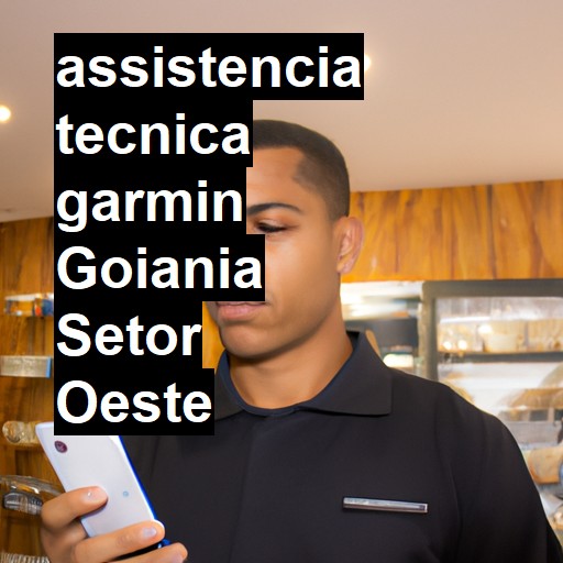 Assistência Técnica garmin  em Goiania Setor Oeste |  R$ 99,00 (a partir)