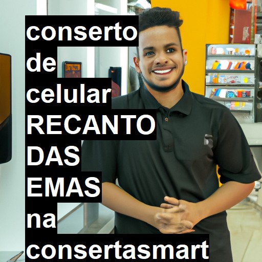 Conserto de Celular em RECANTO DAS EMAS - R$ 99,00