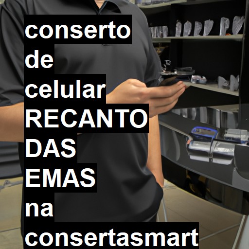 Conserto de Celular em RECANTO DAS EMAS - R$ 99,00