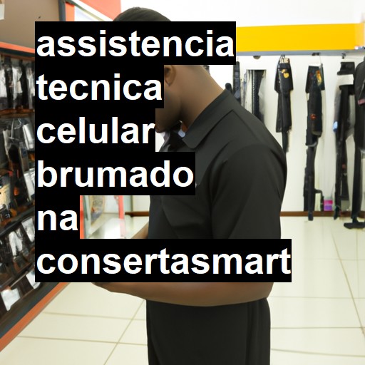 Assistência Técnica de Celular em Brumado |  R$ 99,00 (a partir)