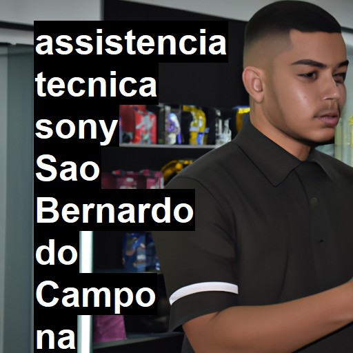 Assistência Técnica Sony  em São Bernardo do Campo |  R$ 99,00 (a partir)