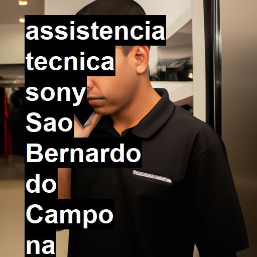 Assistência Técnica Sony  em São Bernardo do Campo |  R$ 99,00 (a partir)