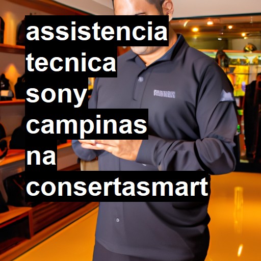 Assistência Técnica Sony  em Campinas |  R$ 99,00 (a partir)