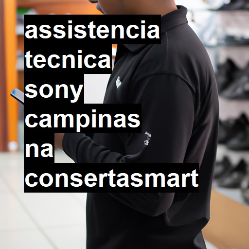 Assistência Técnica Sony  em Campinas |  R$ 99,00 (a partir)
