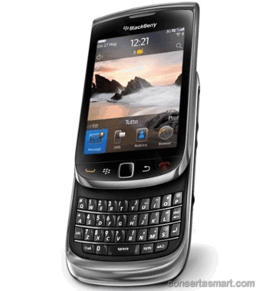 Music and ringing do not work RIM BlackBerry Torch 9800