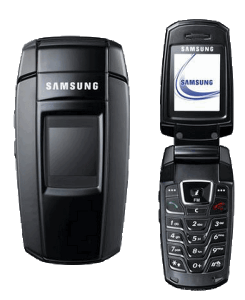 Touch screen broken&nbsp;Samsung SGH-X300