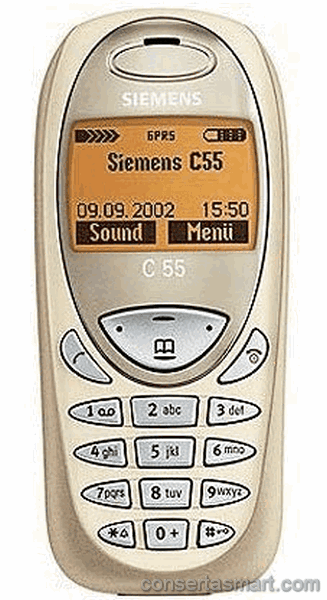 Touch screen broken Siemens C55