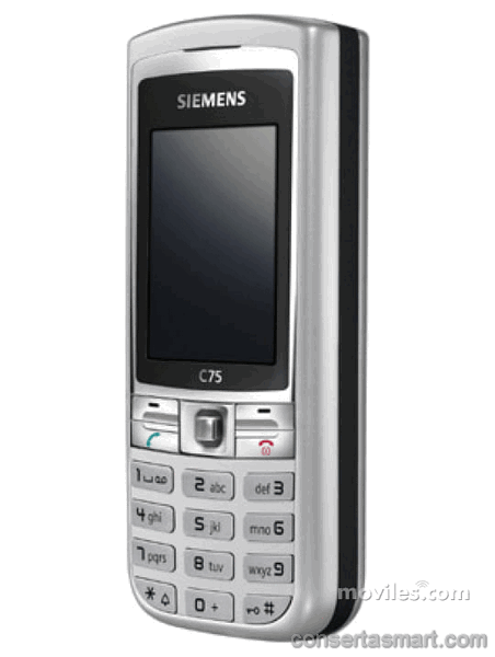 Touch screen broken Siemens C75