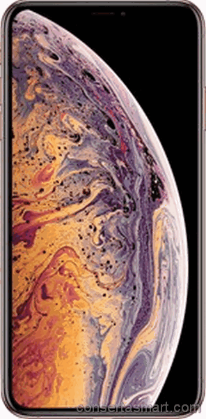 Touchscreen defekt Apple iPhone Xs Max