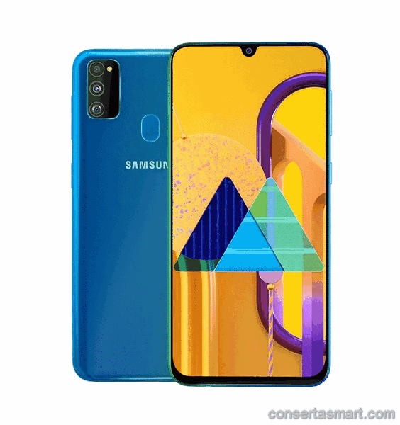 Touchscreen defekt Samsung Galaxy M30S
