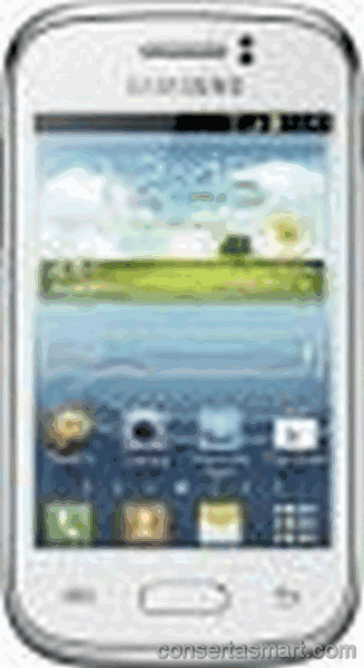 Touchscreen defekt Samsung Galaxy Young