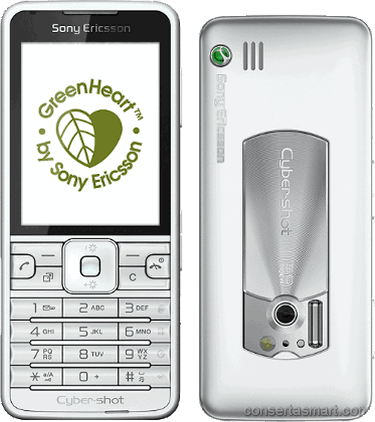 Touchscreen defekt Sony Ericsson C901 GreenHeart